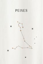 blusa-signo-yogini-0084190040-peixes-frente