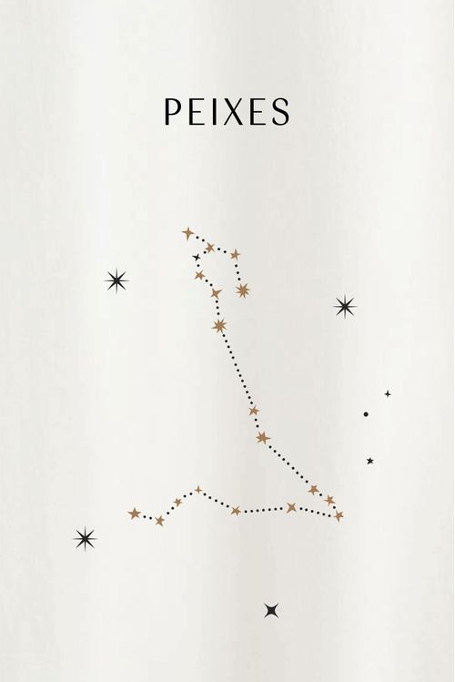 Blusa Signo Off White Algodão Peixes