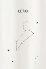 blusa-signo-yogini-0084190419-leao-frente