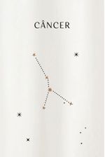 blusa-signo-yogini-0084190191-cancer-frente