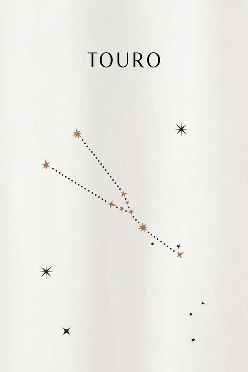 Blusa Signo Off White Algodão Touro