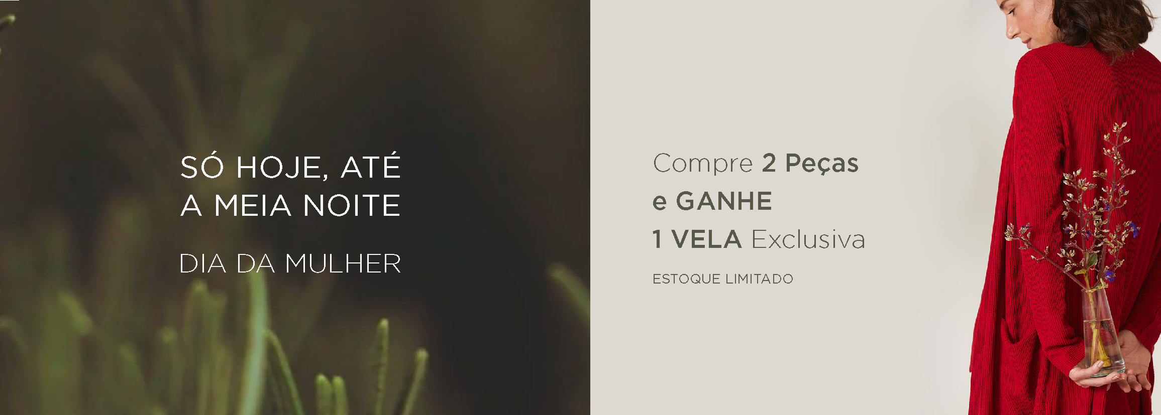 Banner Landing Page Dia das Mulheres Topo