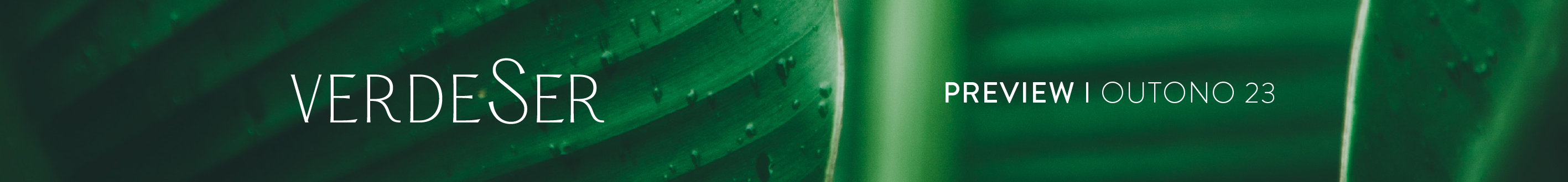 Banner Preview Coleção